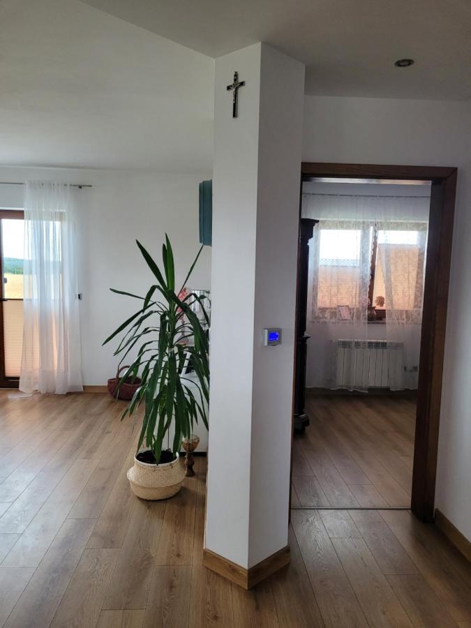 Agroturystyka Kaszuby Villagehome Borzytuchom Exterior foto